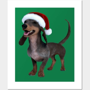 Holiday Ready Dachshund Sausage Dog With Santa Hat Posters and Art